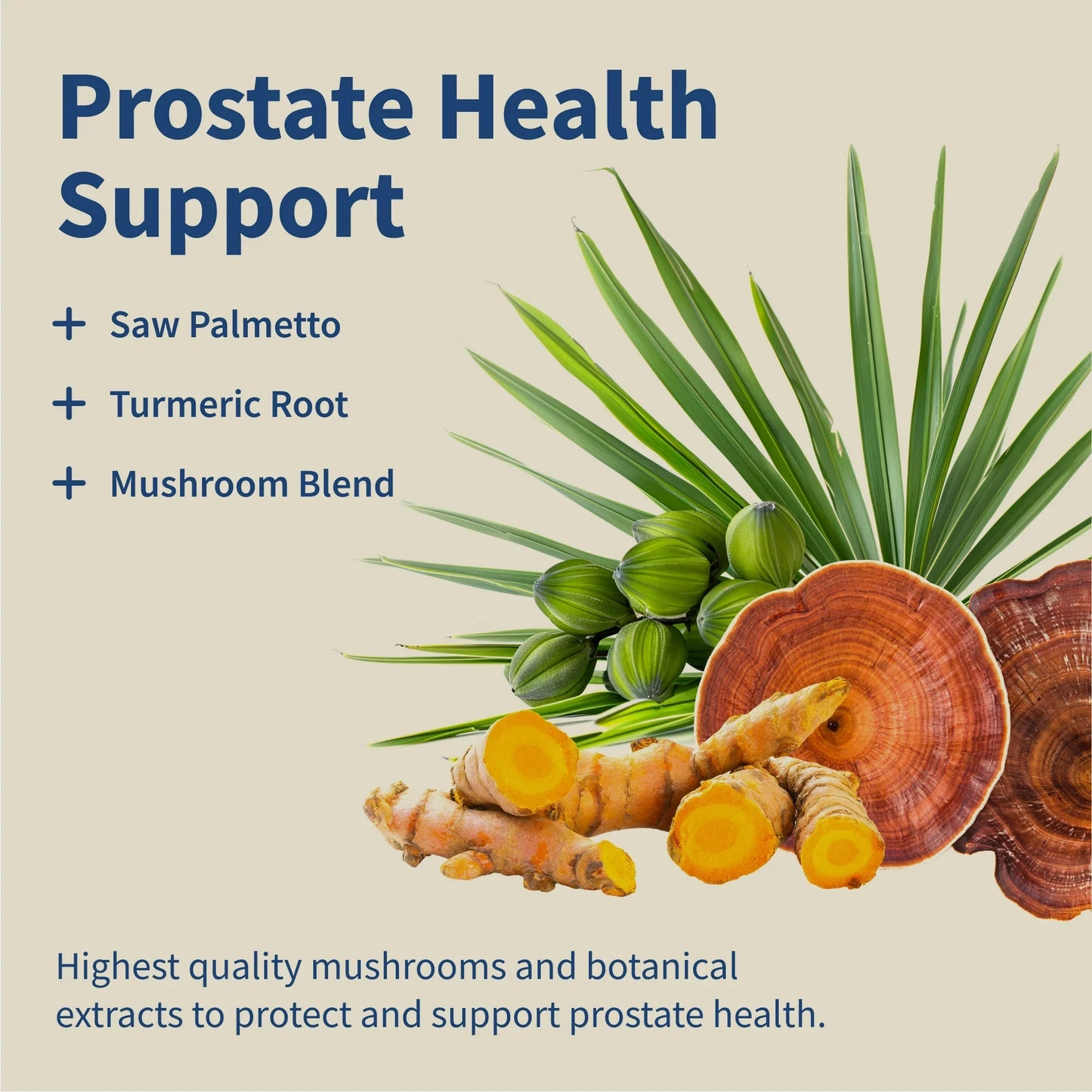 INOVA Supplements Prostate Health + Nitric Oxide Combo